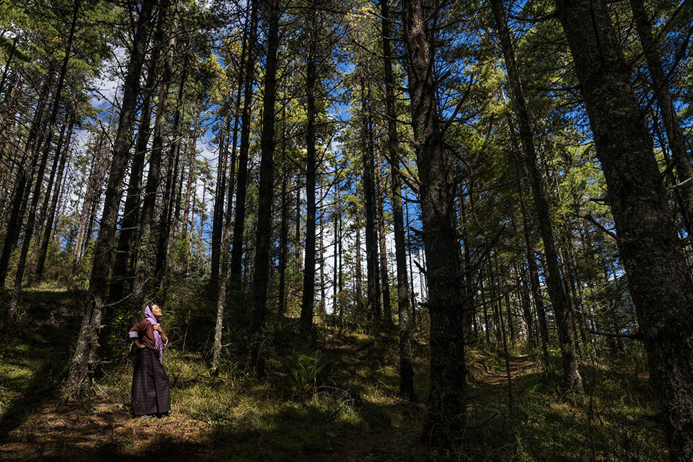 A picture of a woman in the woods