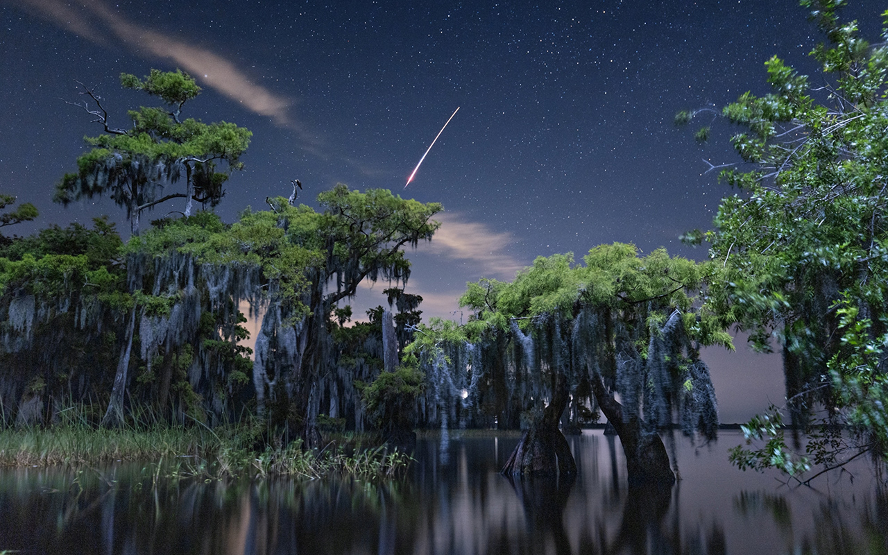 A SpaceX Falcon 9 rocket, launched from Cape Canaveral in the early hours of June 19, streaks above a stand of bald cypress trees.