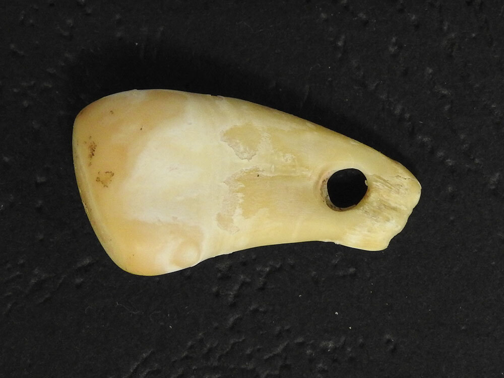 An ancient white pendant sits on a black background