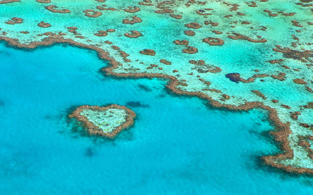 A coral reef in a heart shape in light blue ocean waters, seen from above