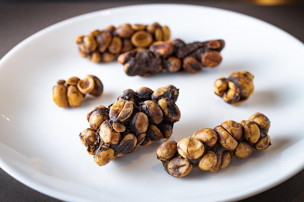 Partially digested coffee beans from civets, which are clumped together and resemble nutty candy bars, on display at Berlin's Disgusting Food Museum.