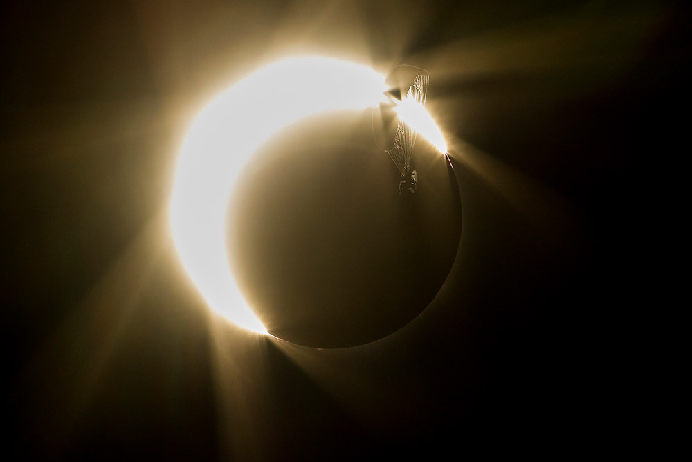 A paraglider is silhouetted by a solar eclipse