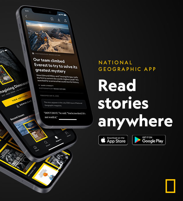 National Geographic App -- Read Stories anywhere. Download now!