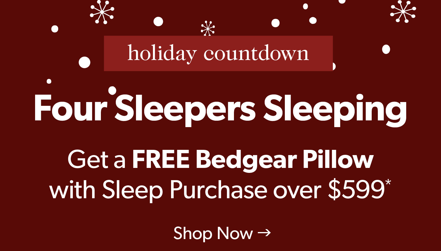 Four Sleepers Sleeping. Get a FREE Bedgear Pillow with Sleep Purchase over 999 dollars. Click to shop the sale.