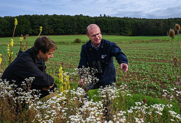 Norbert Schäffer, chairman of the Bavarian Association for the Protection of Birds, and his assistant Paul Kasko visit a roadside area in Bavaria that's been left to grow wild. These untended flowering strips are an important habitat for insects and birds.