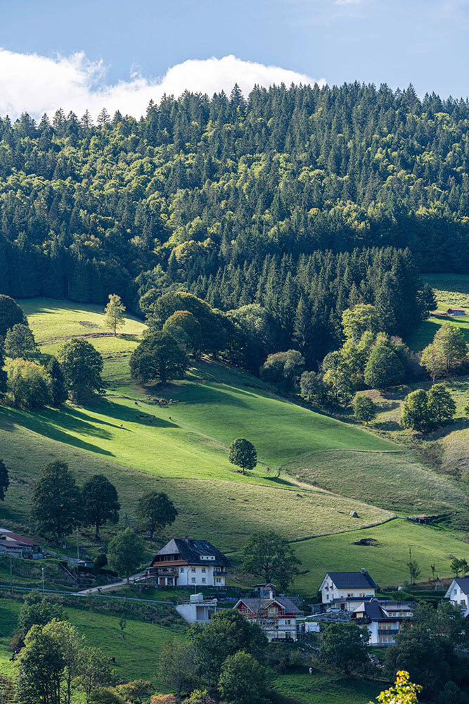 a landscape view of a hillside covered with, grass, trees, and a few houses in Germany