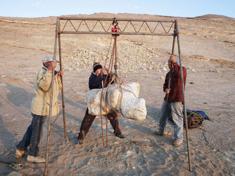 Perucetus colossus specimen being transported from the discovery site in southern Peru to the Natural History Museum in Lima.