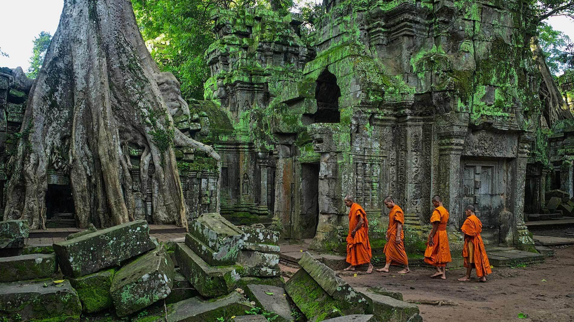 Colossal banyan tree roots wrap around the ruins of Ta Prohm temple.