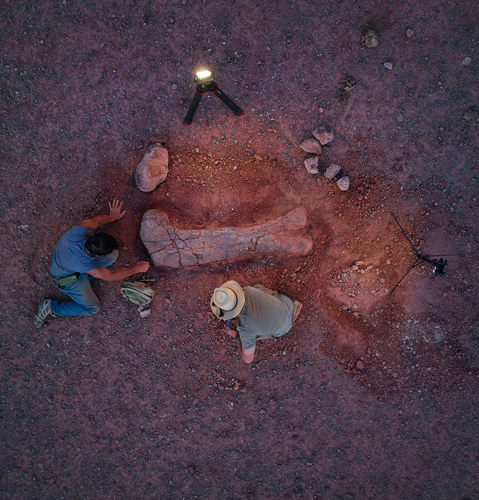 A picture of two people brushing sand off of a large bone