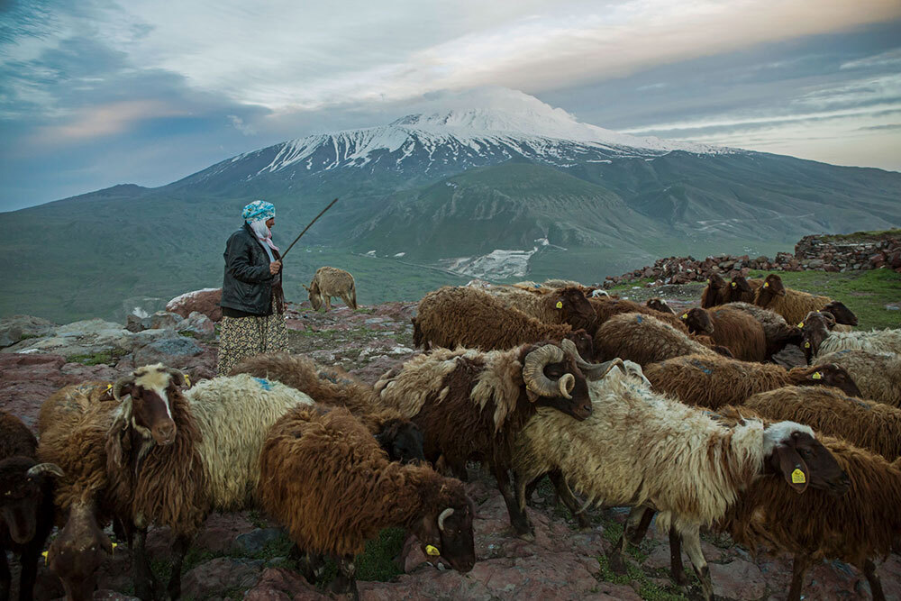 A picture of a shepherd with a snow-capped mountain in the background