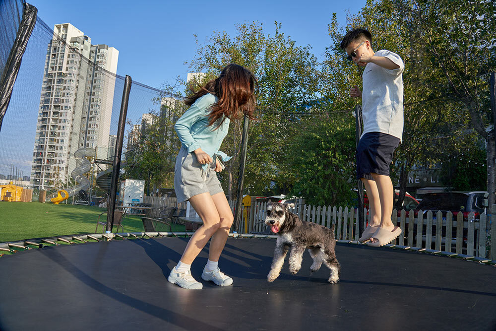 Research shows that playing with a dog can improve one's mood, help children with learning development issues, and increase one's physical activity levels.