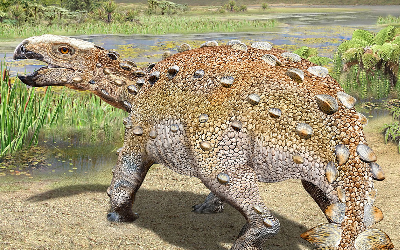 About 73 million years ago in what's now southern Chile, a newfound species of club-tailed dinosaur lived and died in a river delta rich with plant life, shown here in this artist's depiction.