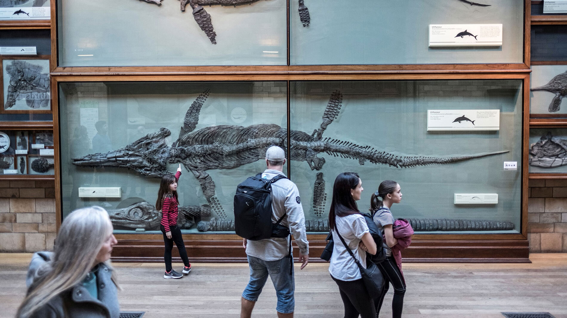 London‘s Natural History Museum displays several of Mary Anning‘s remarkable fossil finds, including this one of an ichthyosaur (lower).