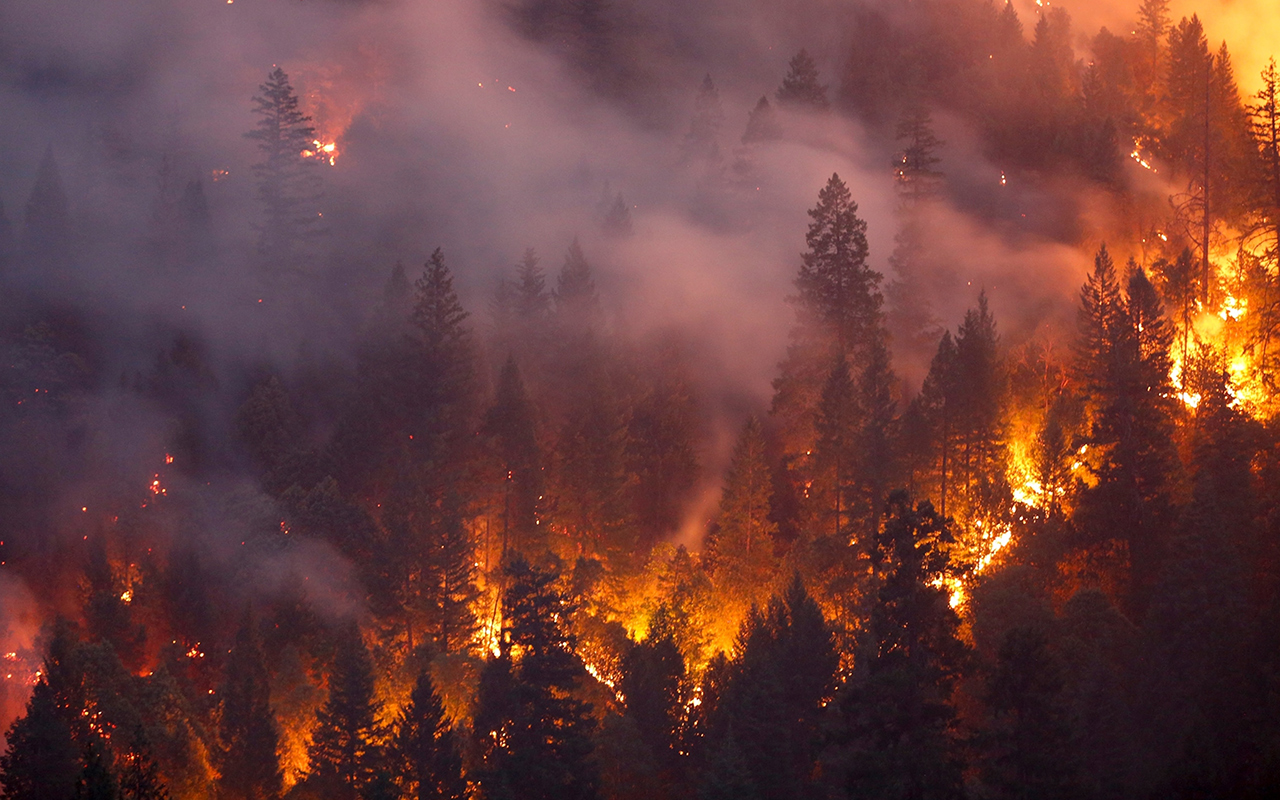 The deadly Carr Fire burns through forests west of Redding, California, on July 30, 2018.