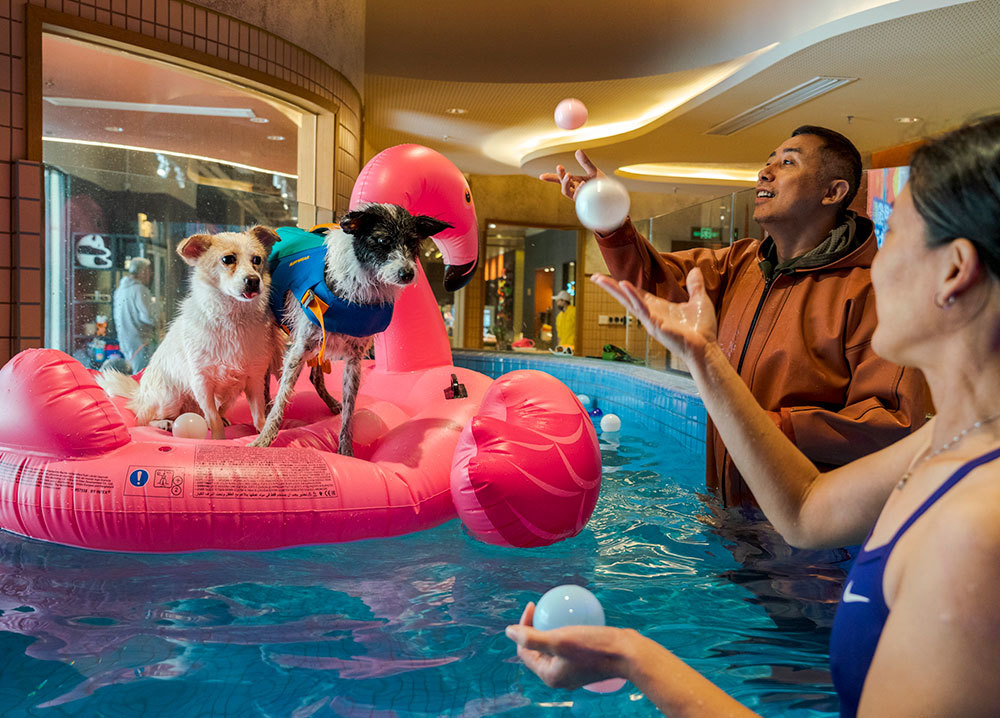 Two people play with their dogs in a pool