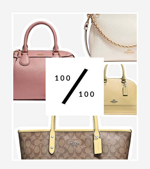 100 BAGS UNDER $100