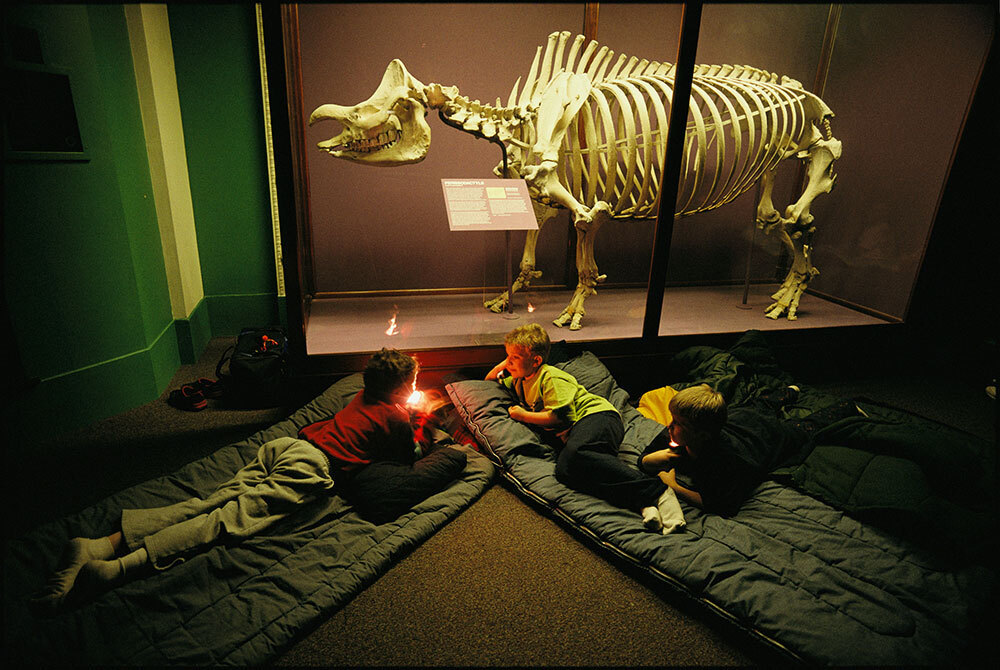 Kids lay on sleeping bags below an animal skeleton in a museum