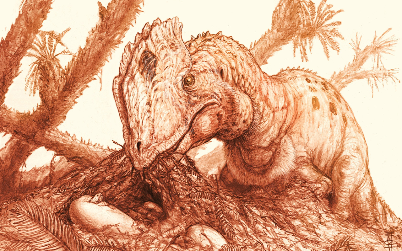 A reconstruction shows an adult Dilophosaurus wetherilli tending to a clutch of hatching eggs.