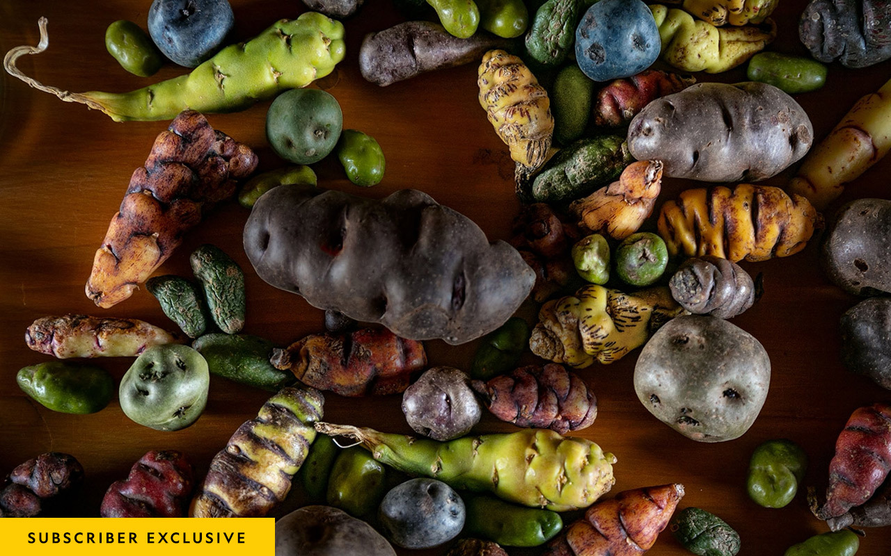 Chef Virgilio Martínez uses a kaleidoscopic variety of heirloom potatoes and ocas at his restaurant Mil, in Peru’s Sacred Valley.