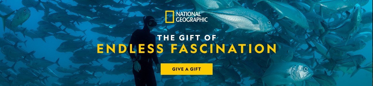 National Geographic. The gift of endless fascination. Give a gift.