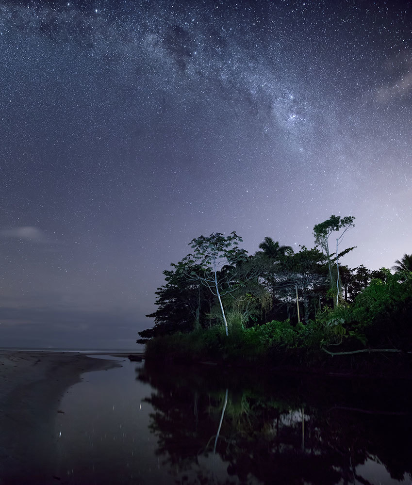 The Atlantic Forest in Brazil