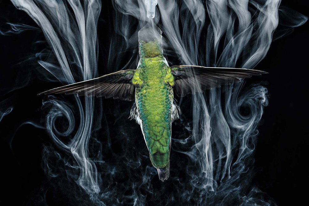 Thin wisps of smoke flow over a hummingbird in mid-flight.