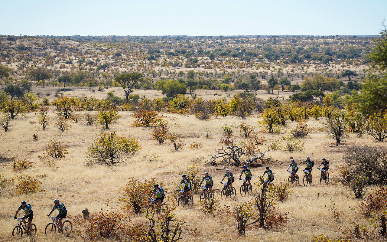 Cyclists ride through southern Africa during the Tour de Tuli, an adventure that takes travelers through South Africa, Botswana, and Zimbabwe by bicycle.