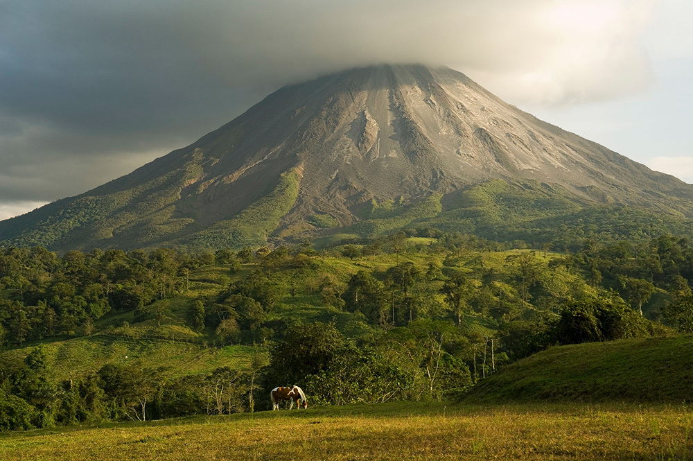 Arenal Volcano looms above a horse, grazing in the fertile northern lowlands of Costa Rica