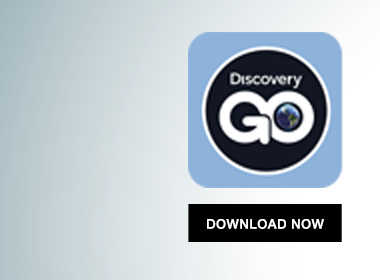 Discovery GO. Download Now