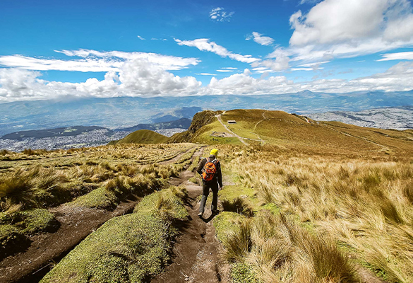 A hike through Volcanoes Avenue offers a spectacular view of the city.