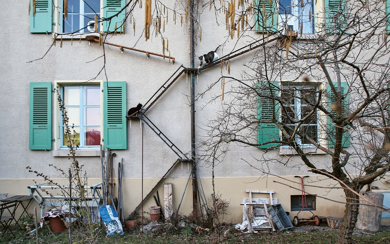 In Switzerland, outdoor access for cats is considered vital for their welfare, and owners install ramps and ladders on the sides of buildings to help them come and go.