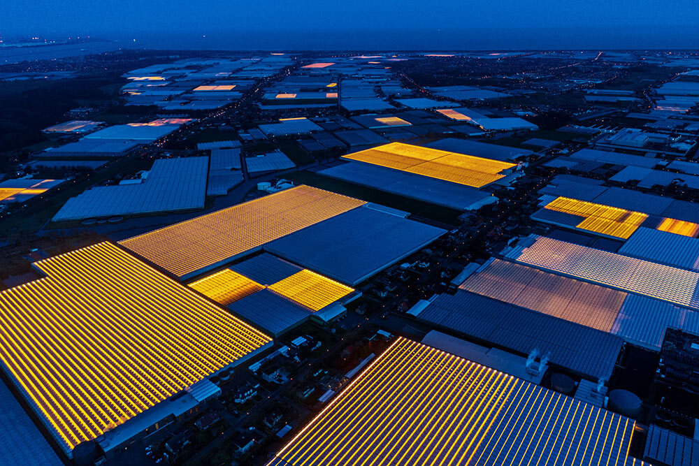 Furrows of artificial light lend an otherworldly aura to Westland, the greenhouse capital of the Netherlands.