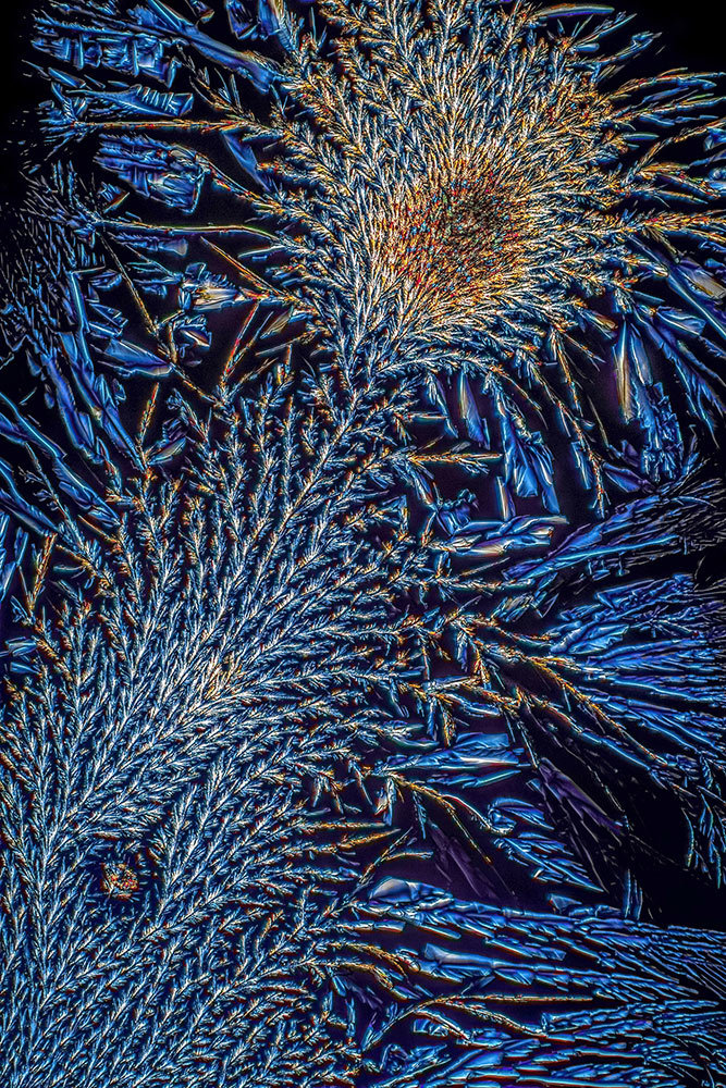 A picture of a blue crystal-like structure fanning out across the image