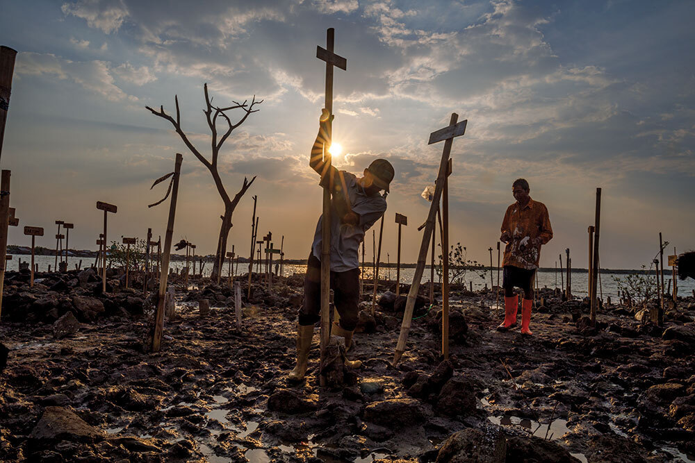 A person drives a tall stake into the mud