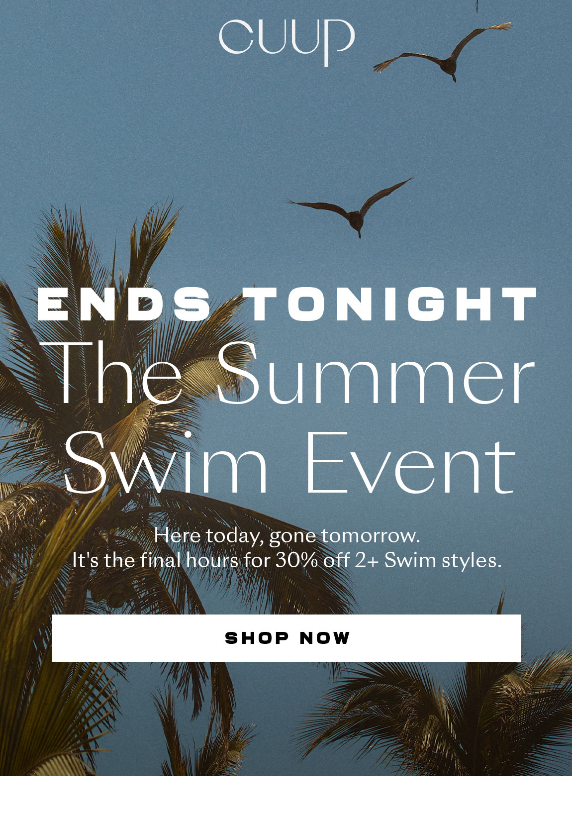 Shop the Summer Swim Event