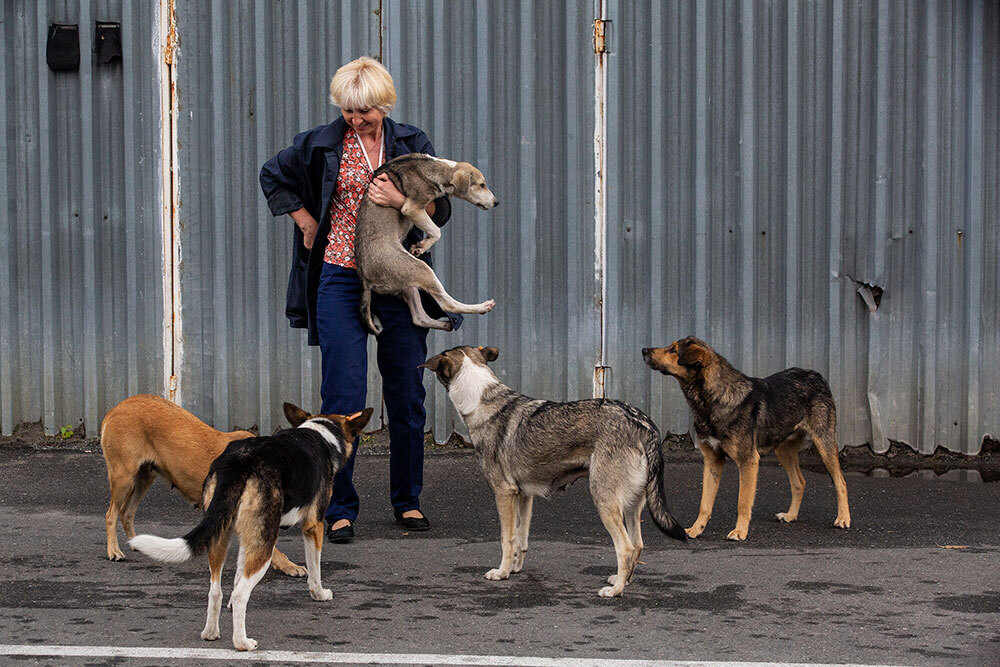 a woman holding a dog surrounded by 4 more