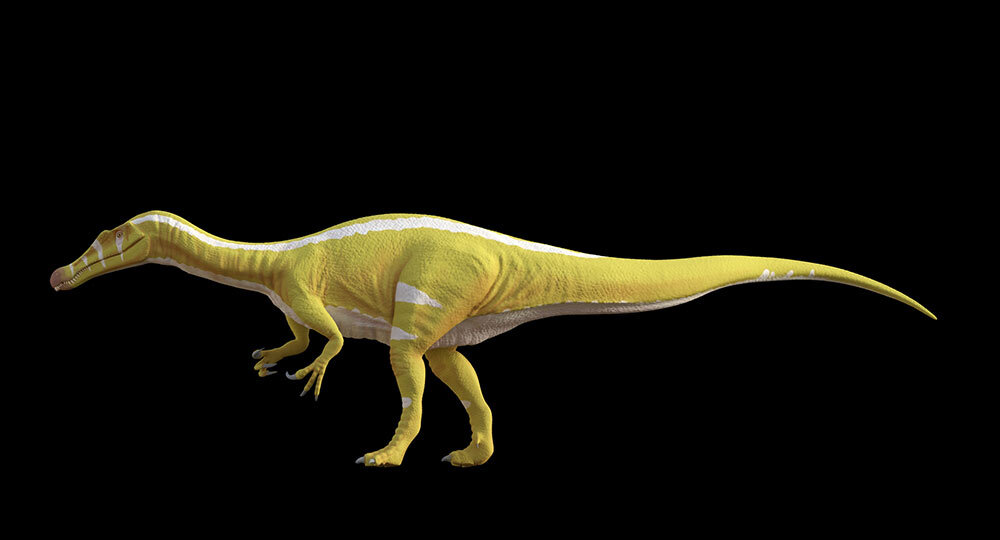 a rendering of a spinosaur