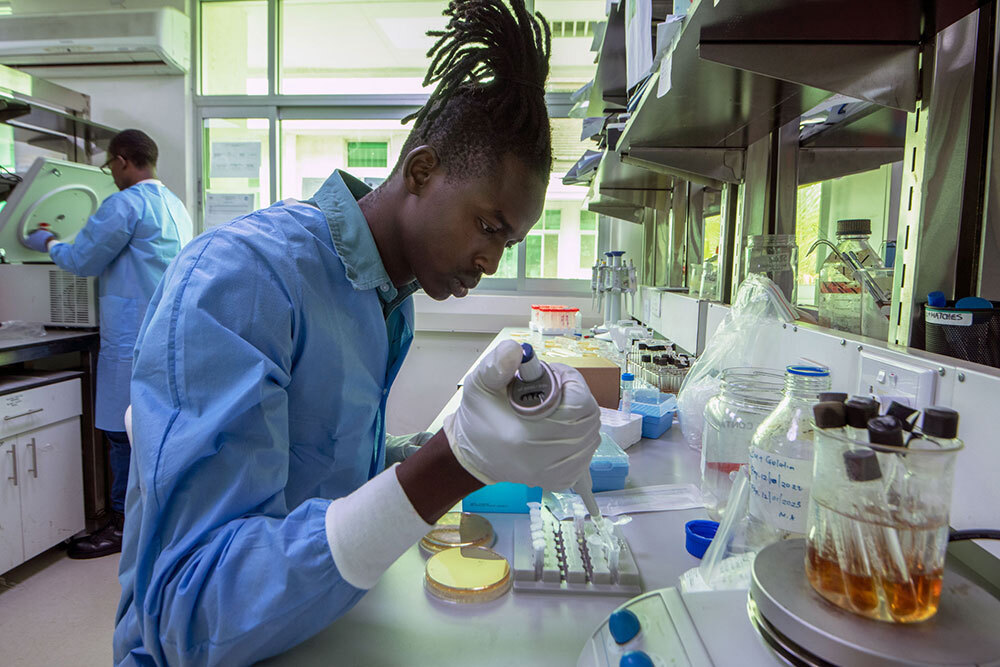 A picture of a scientists working on samples in a lab