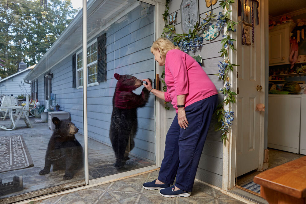 a woman plays tug-of-war with a bear