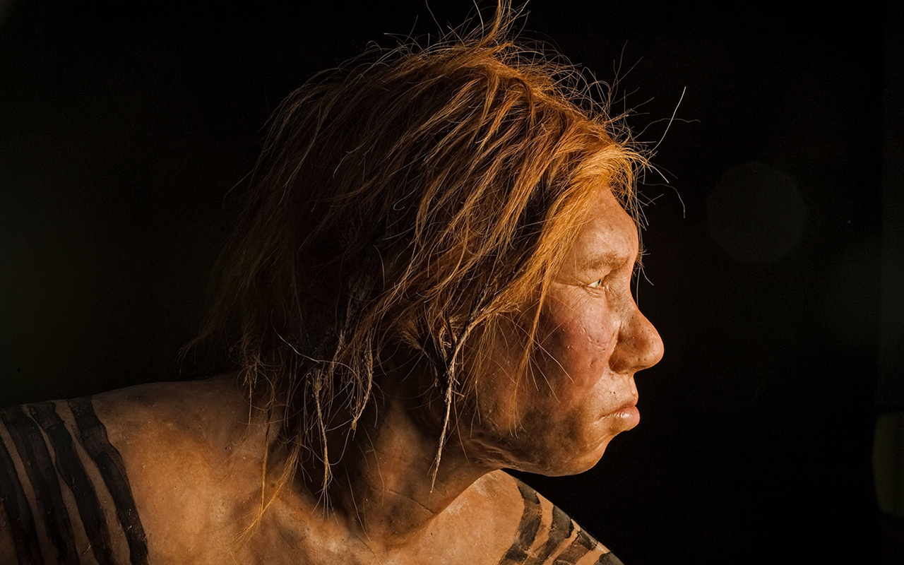 This reconstruction of a Neanderthal female unveiled in 2008 was the first made using ancient DNA evidence.