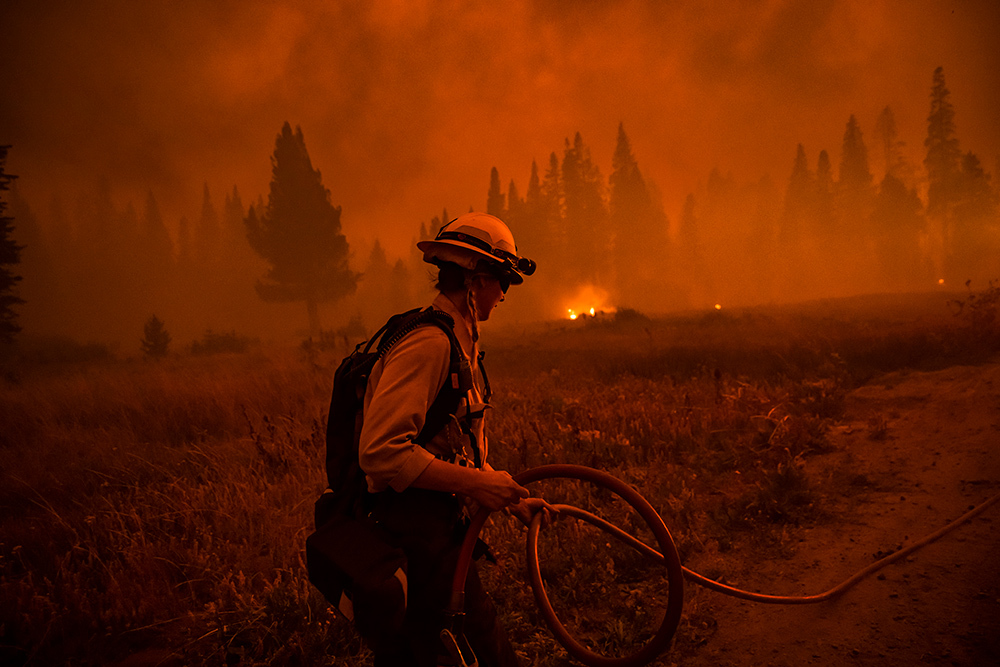 A firefighter in a burning forest