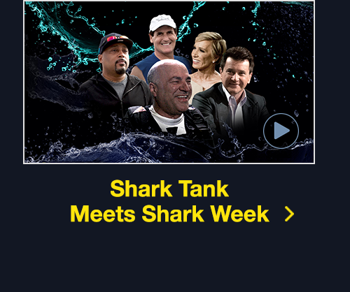 Shark Tank Meets Shark Week &gt;