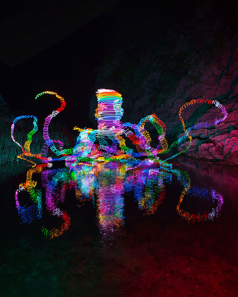 A glowing, multicolored drawing on an octopus
