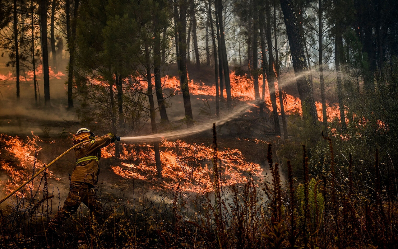 A firefighter tries to extinguish a wildfire in the village of Casais de Sao Bento in Macao in central Portugal.