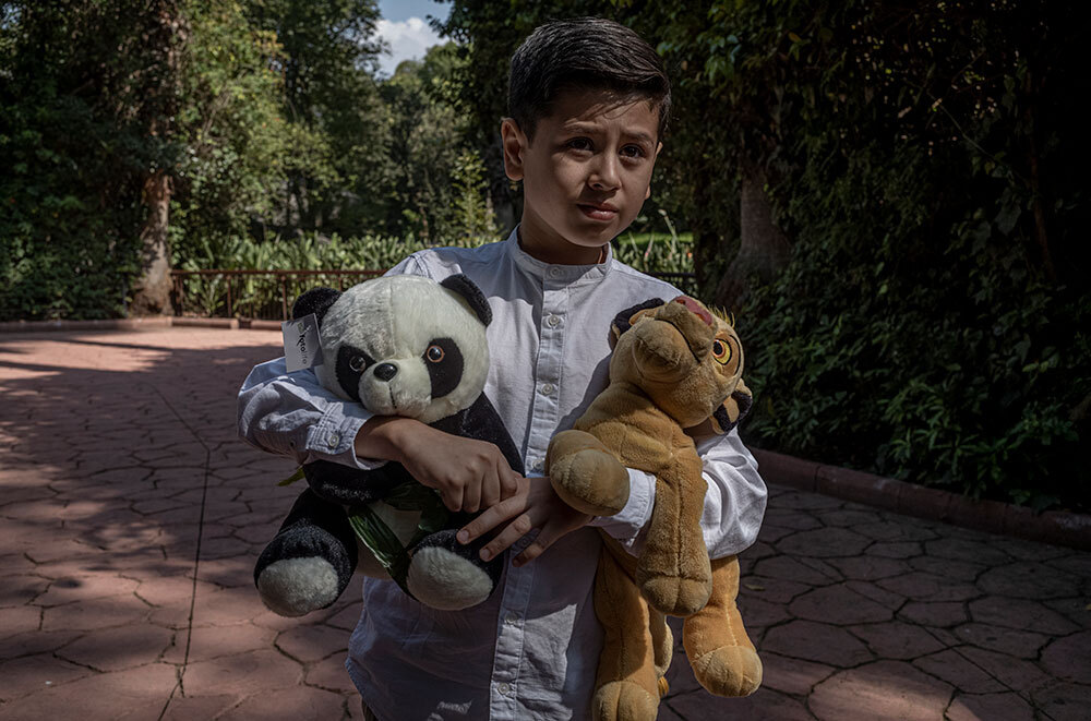 A boy holds a panda and lion stuffed animal