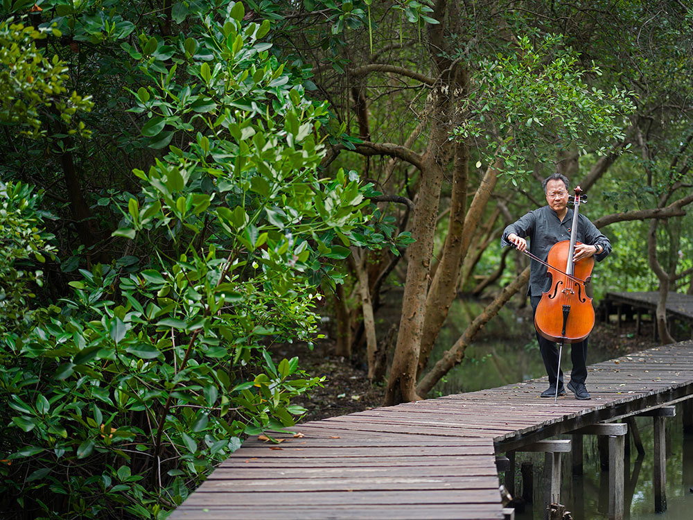 A picture of a man playing the cello in a forest