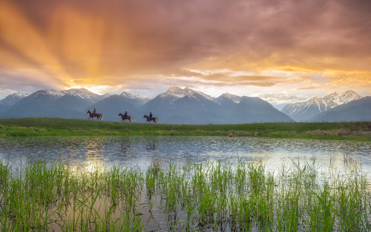 Riders take their horses by a lake, backed by a sunlit mountain range in Montana.