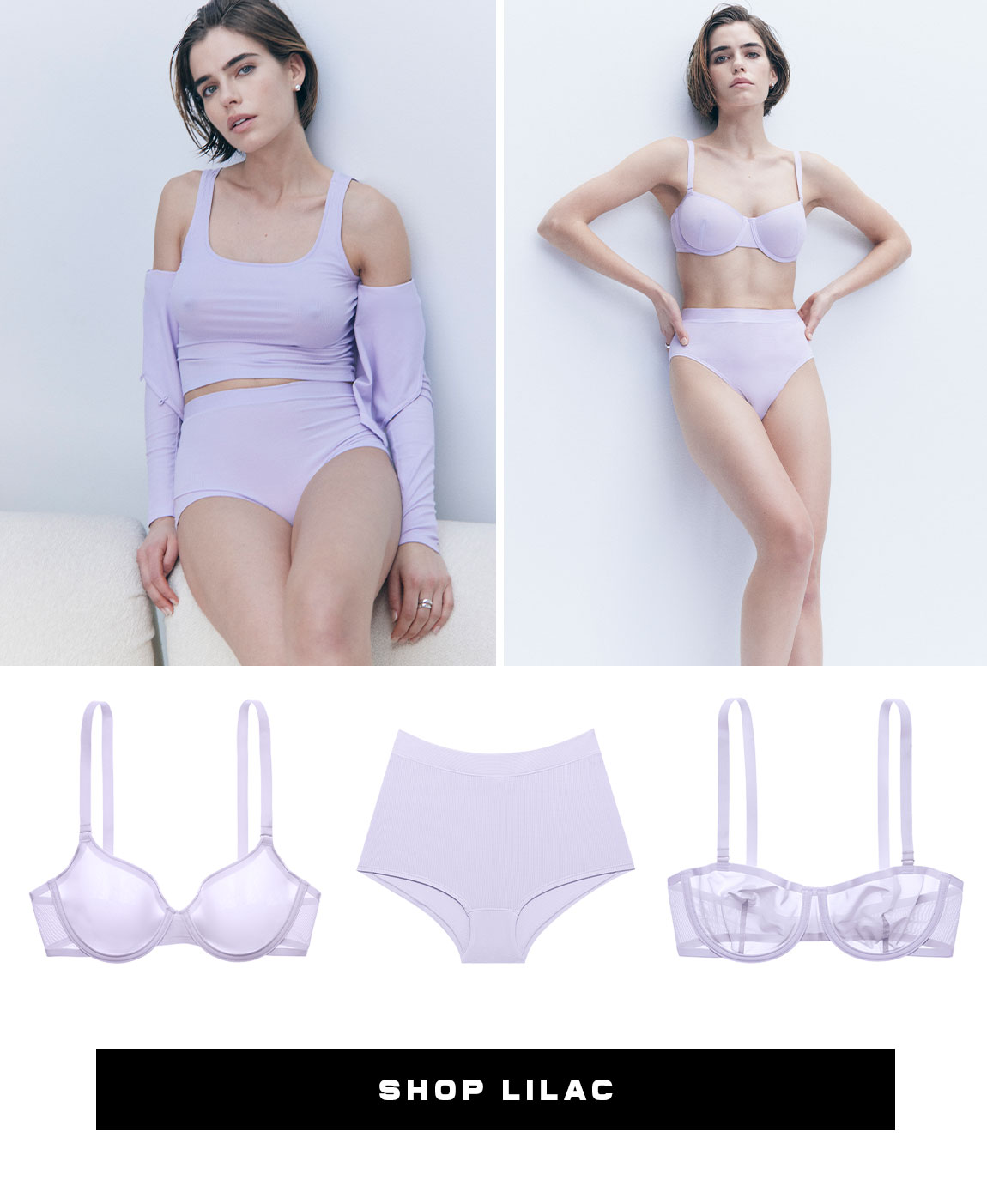 Shop Lilac