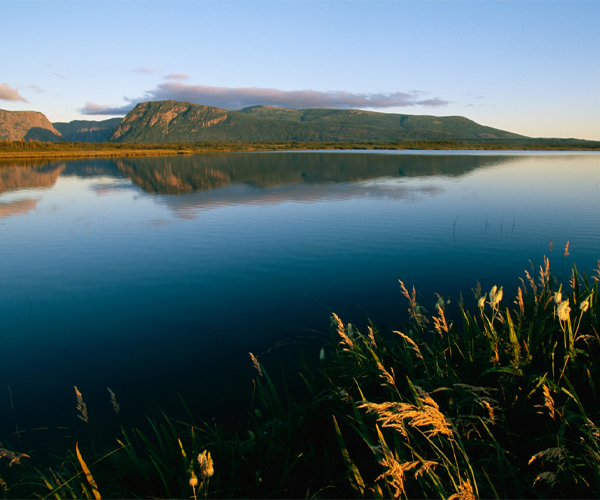 Western Brook Pond lies in the shadows of the Long Range Mountains in Canada’s Gros Morne National Park, one of a growing number of destinations with a certified forest therapy trail.