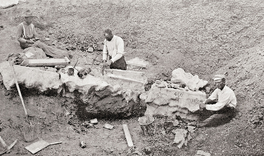 A black and white photo of three men at a dinosaur excavation site with a giant dinosaur bone.